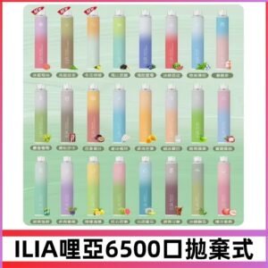 ILIA BAR 4 哩啞一次性拋棄式電子煙｜6500口大容量
