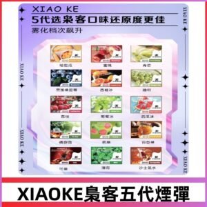 梟客五代煙彈|XIAOKE可替換式電子煙|通用Relx6代|ILIA五代主機
