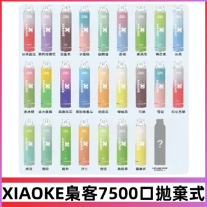 梟客XIAOKE|7500口可發光拋棄式電子煙 跑馬燈一次性